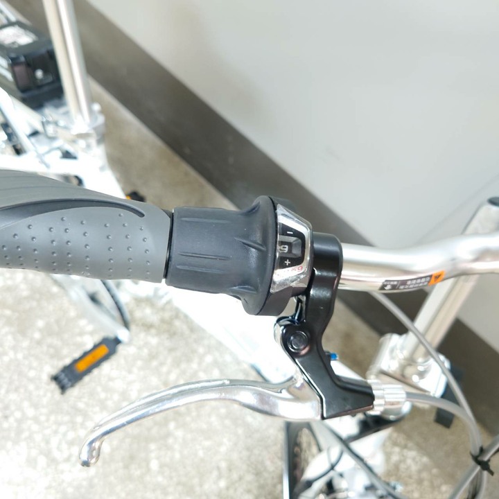 Giant Momentum iThink FD806 20"展示車出清 (eKits套件,使用Makita 牧田電池)