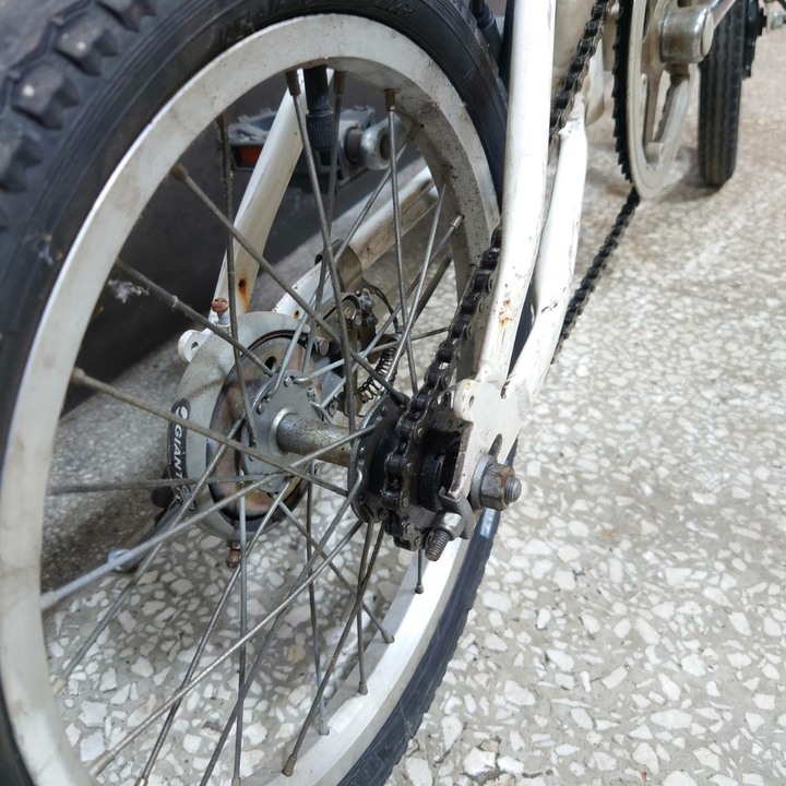 16" Giant Panasonic 單速折疊車 (eKits套件,使用Makita 牧田電池)
