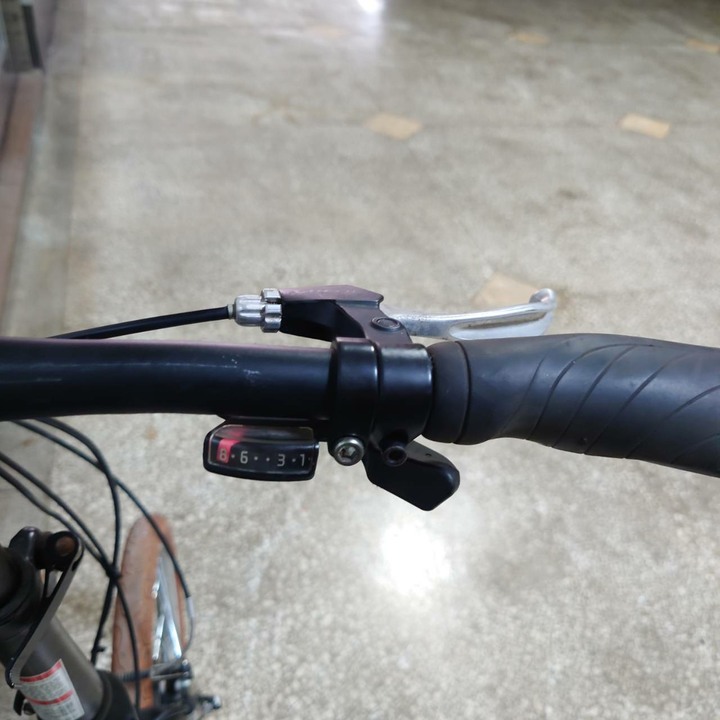 Louis Garneau 20"八速小折 (eKits套件,使用Makita 牧田電池)