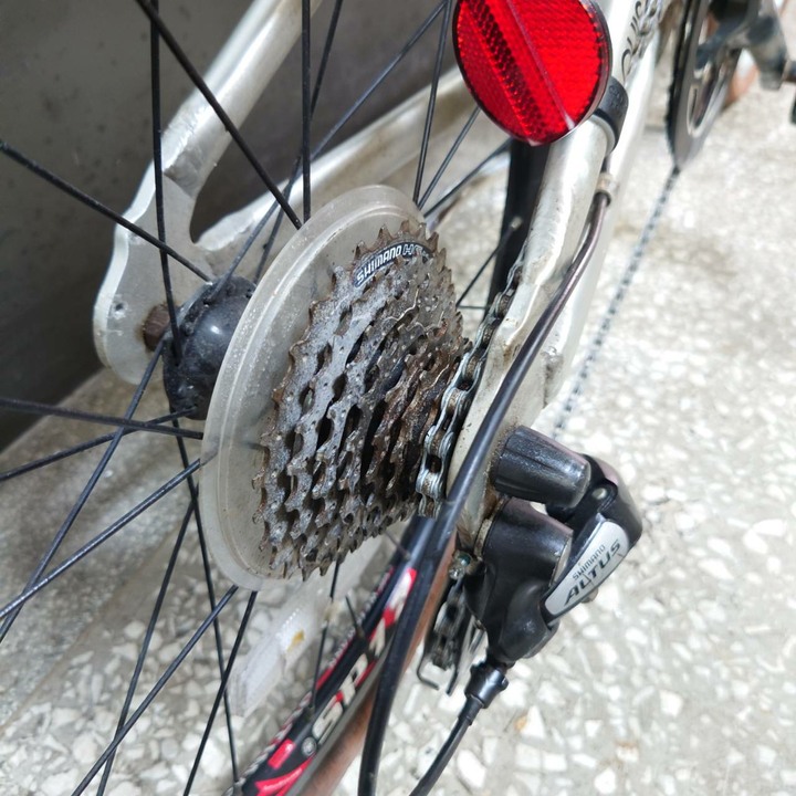 Louis Garneau 20"八速小折 (eKits套件,使用Makita 牧田電池)