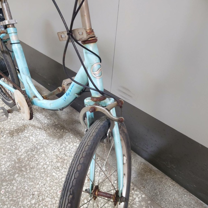20" Giant 單速淑女車 (eKits套件,使用Makita 牧田電池)