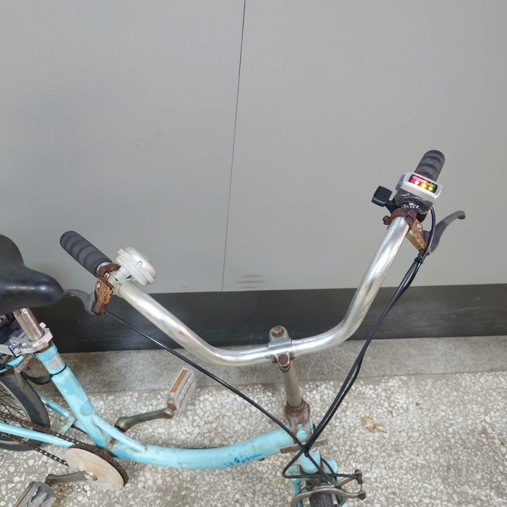 20" Giant 單速淑女車 (eKits套件,使用Makita 牧田電池)