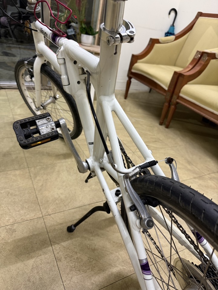 捷安特 LIFEWAY 折疊車