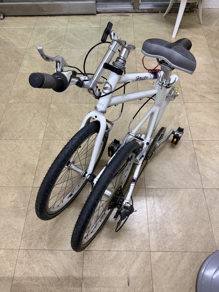 捷安特 LIFEWAY 折疊車