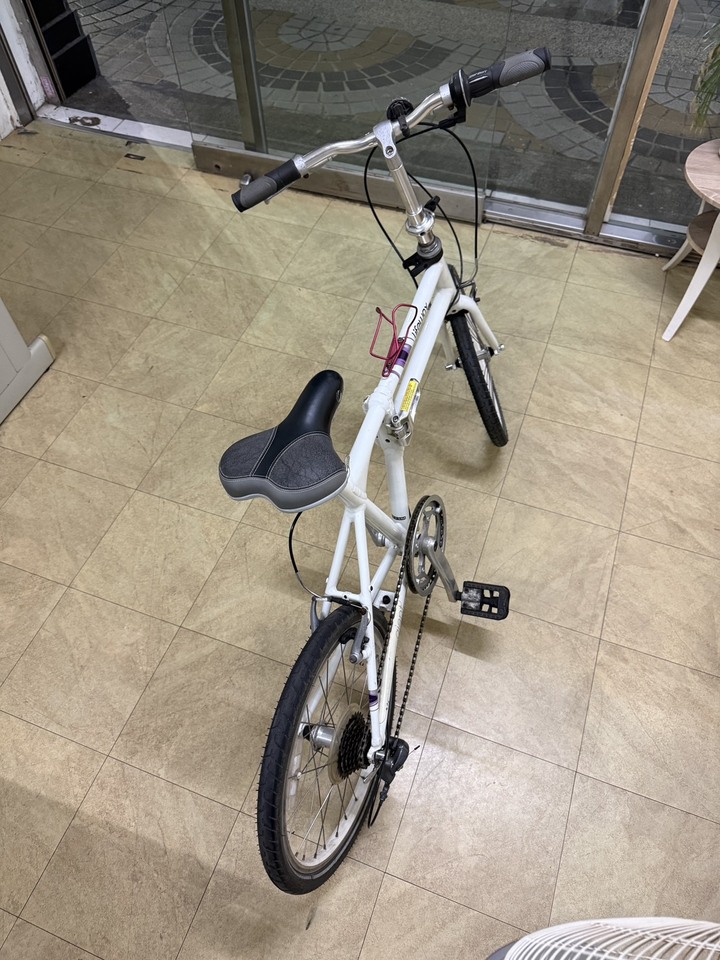 捷安特 LIFEWAY 折疊車