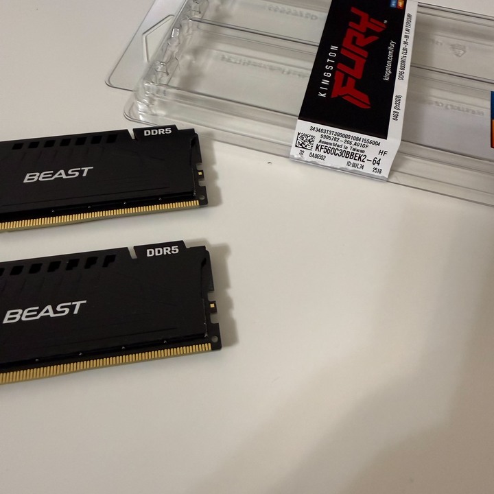 Kingston 金士頓 桌上型超頻記憶體 64GB(雙通32GB*2) DDR5-6000/CL30 FURY Beast 黑 (獸獵者)