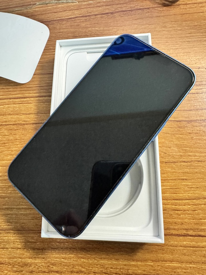 iPhone 13 256 G 藍色