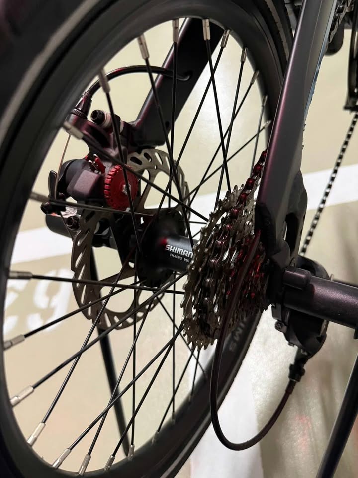 三代 Birdy Standard 折疊自行車(9速/18吋/鳥車) 二手 - 近全新