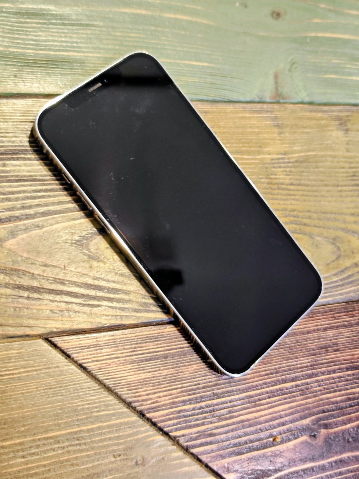 iphone 12 pro max 256g