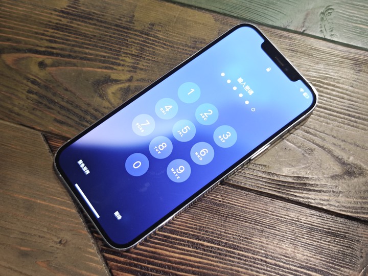 iphone 12 pro max 256g