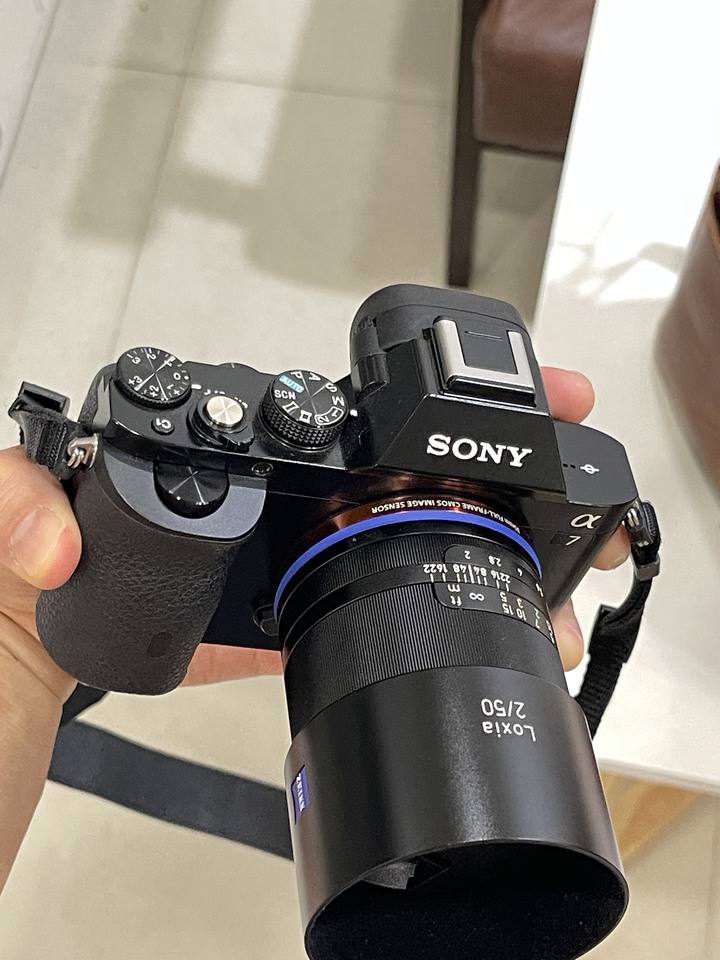 Sony a7