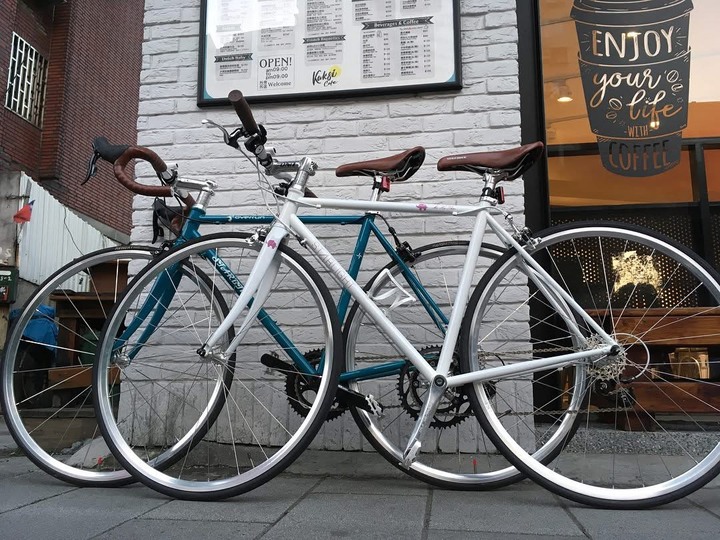 Starbike overrun 鋼管車 客製重新烤漆 珍珠白