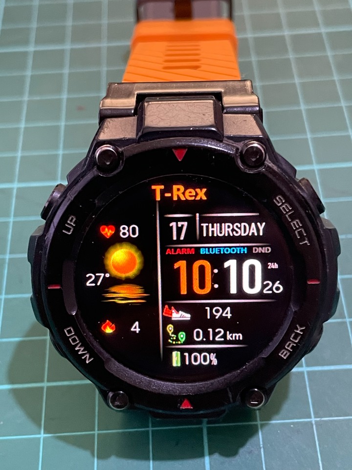 Amazfit T-Rex 智慧手錶 陸版/功能正常