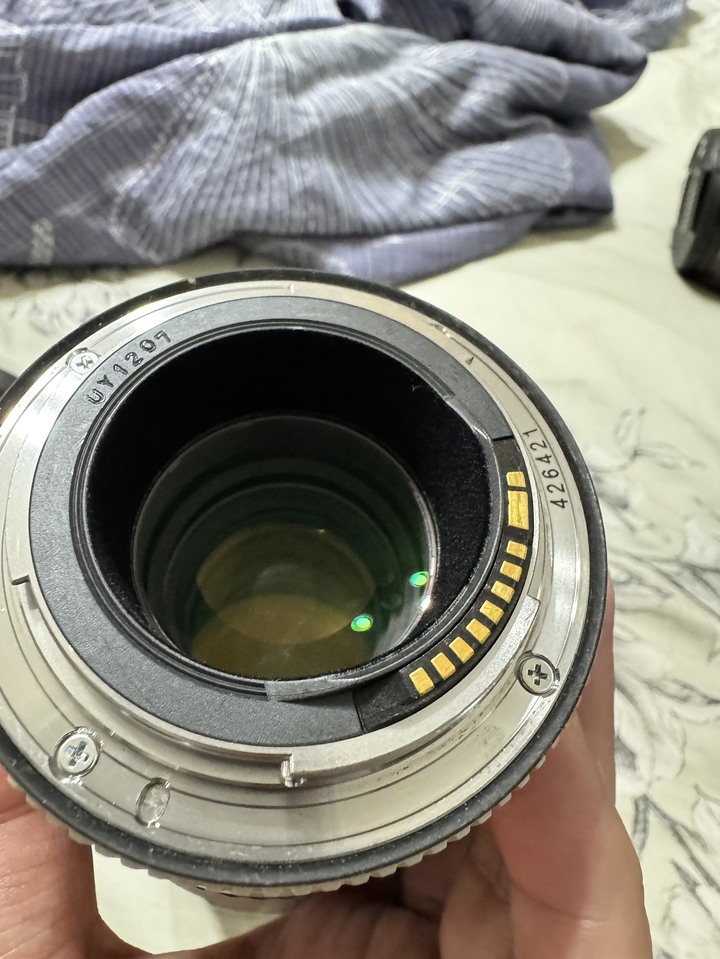 Canon EF 70-200mm F4.0 II 小小白