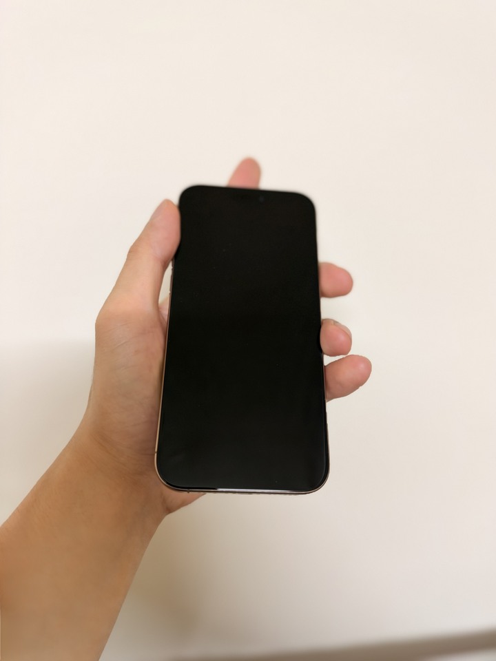 iPhone16promax256g
