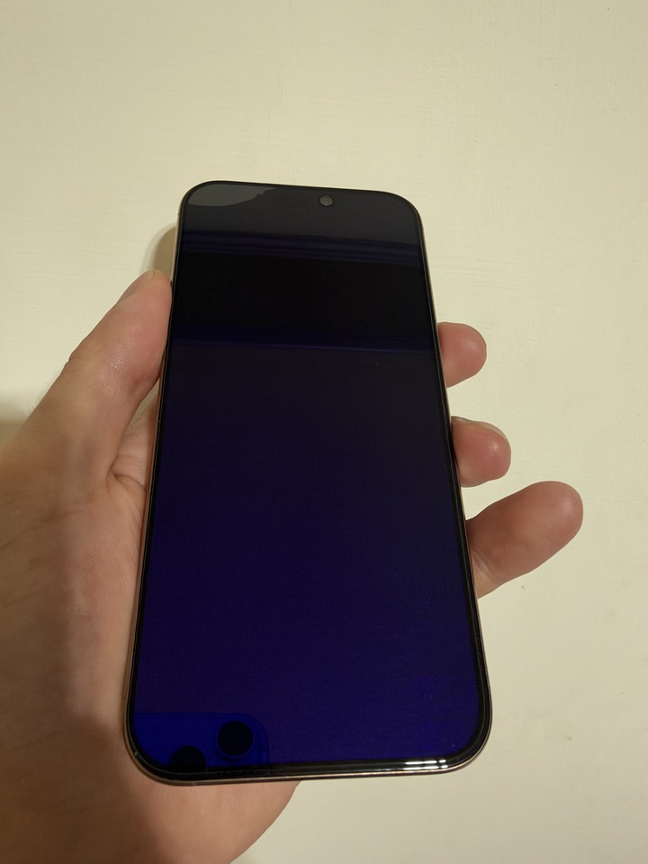 賣iPhone 16pro max256g