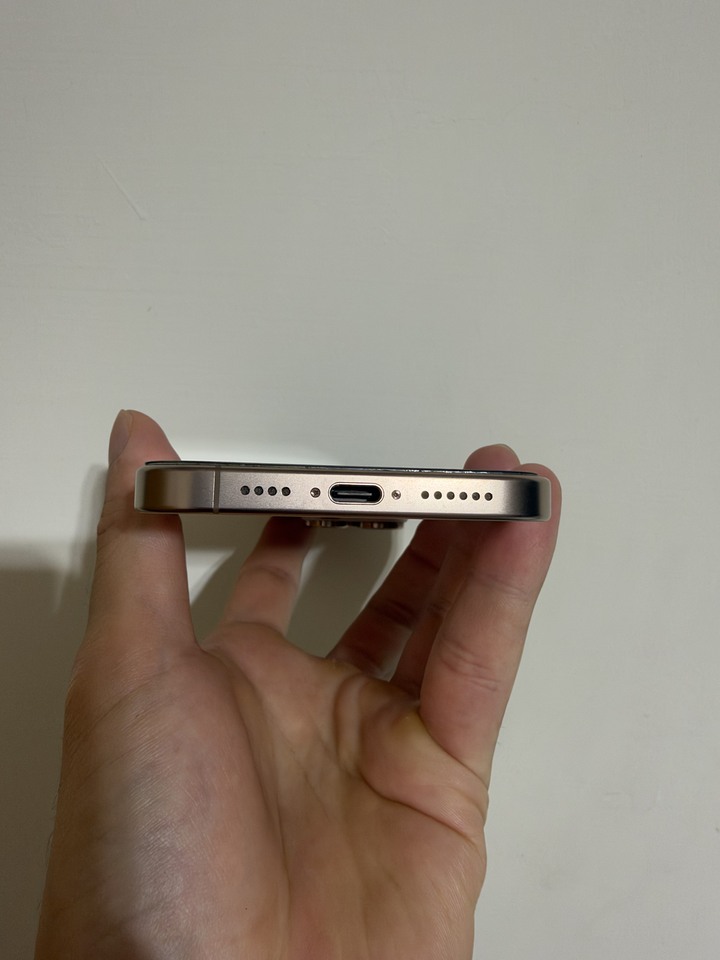 賣iPhone 16pro max256g