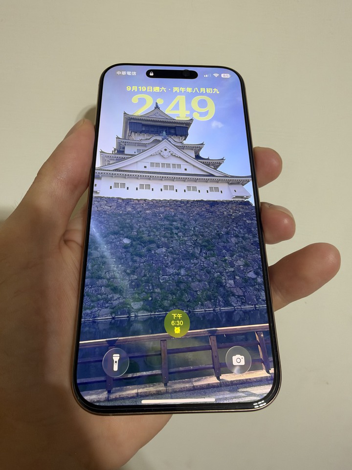 賣iPhone 16pro max256g