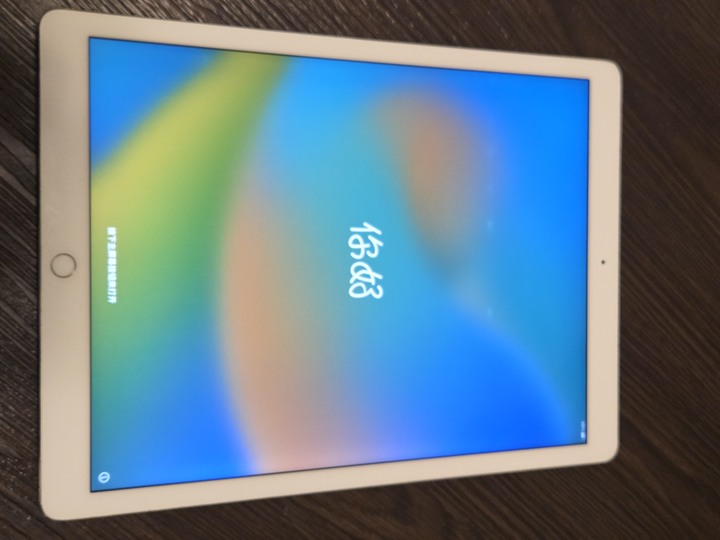 iPad Pro 12.9吋 第一代 零件機