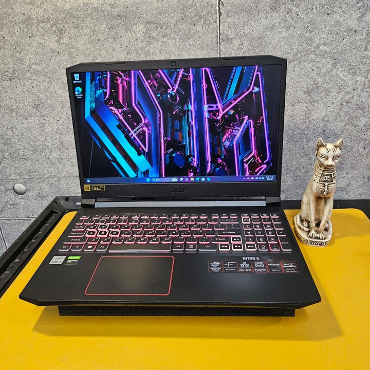 Acer Nitro 5 15.6吋電競筆電(i5-10300H/GTX1650Ti 4G/8G/512G/AN515-55-51GB)