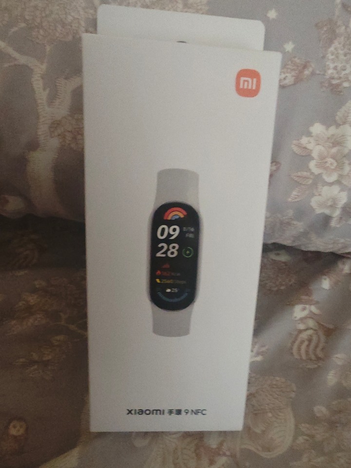 Xiaomi 小米手環 9 NFC