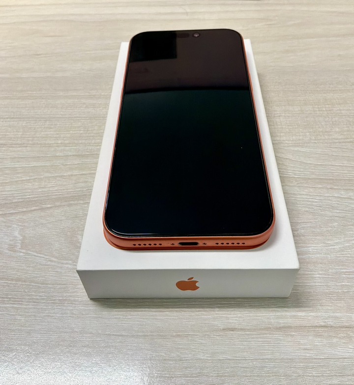 Apple iphone 17Promax 256G保固中 官網貨 健康度98%