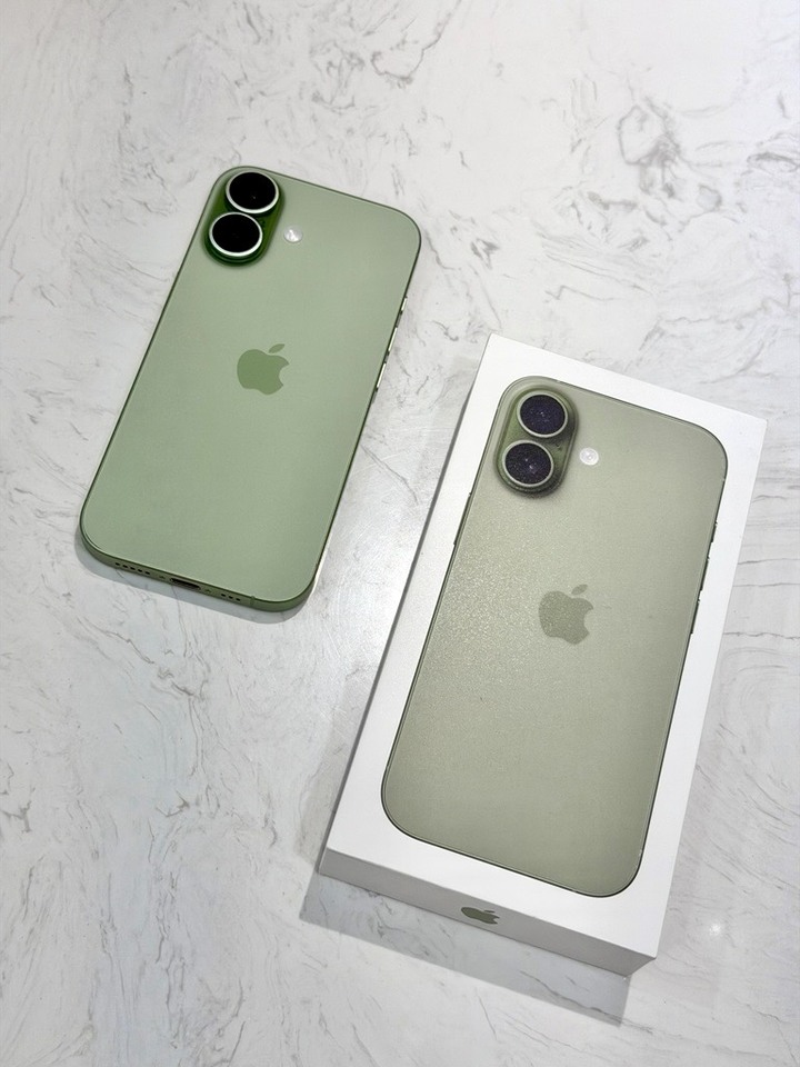 iPhone 17 256G 鼠尾草綠 (老婆換機出售，完全無刮傷)