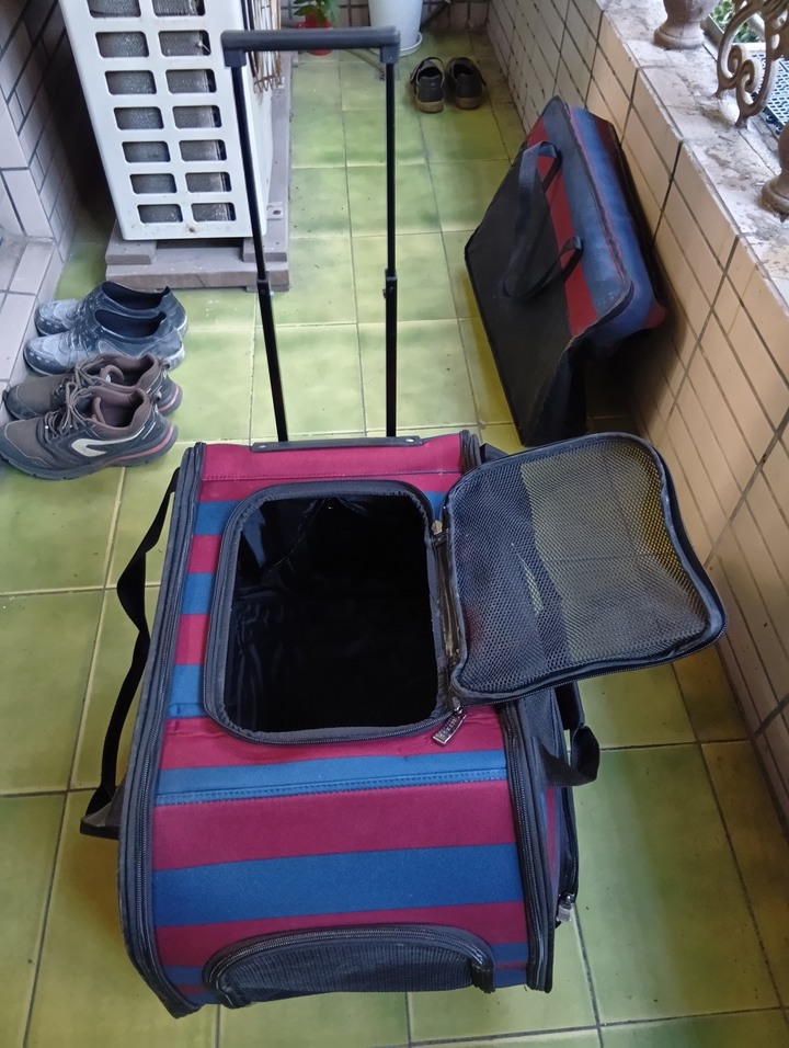 myzoo寵物推車