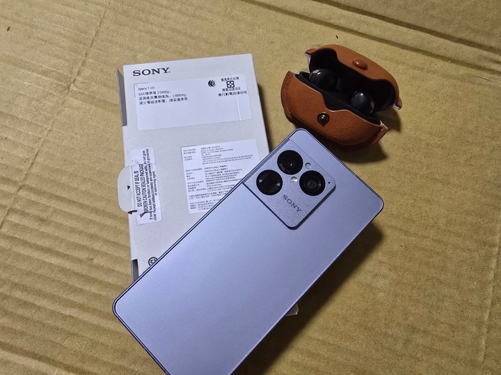 sony WF-1000XM5藍芽耳機