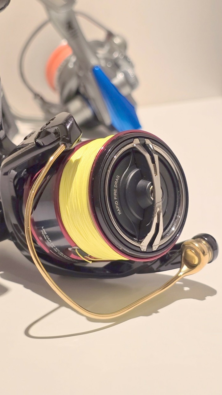 Shimano 17 Sephia CI4+ C3000SHG (03713)捲線器