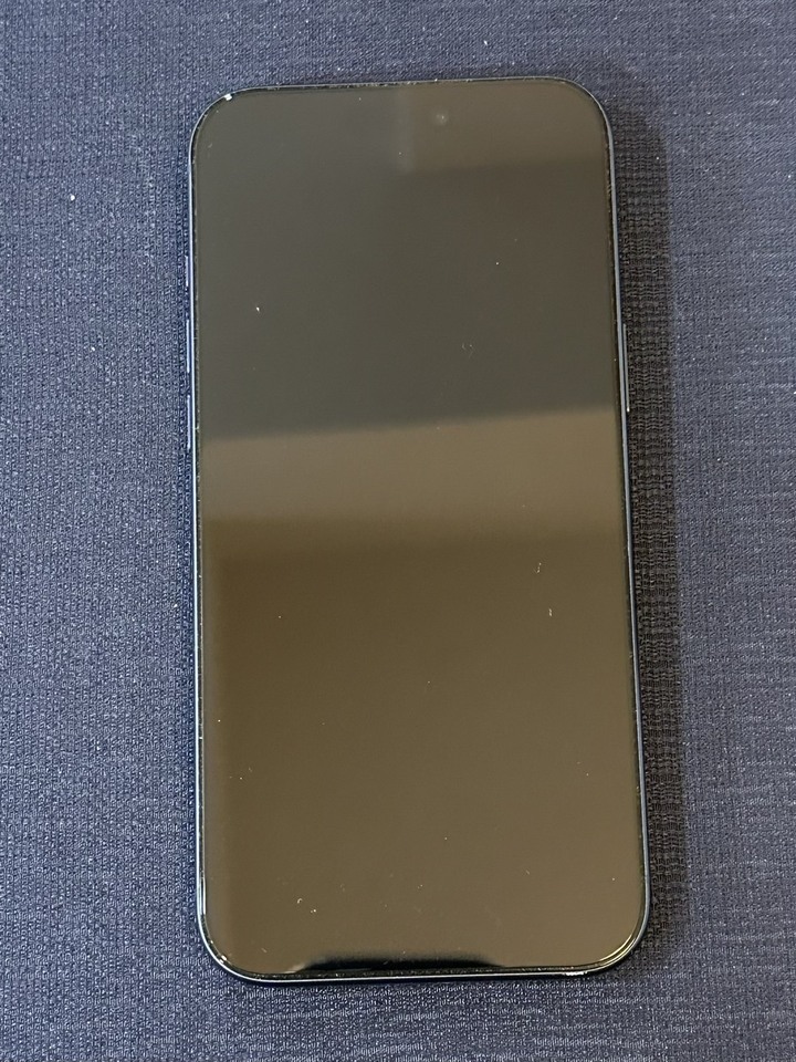 Apple iPhone 17 Pro Max 256GB 藏藍色