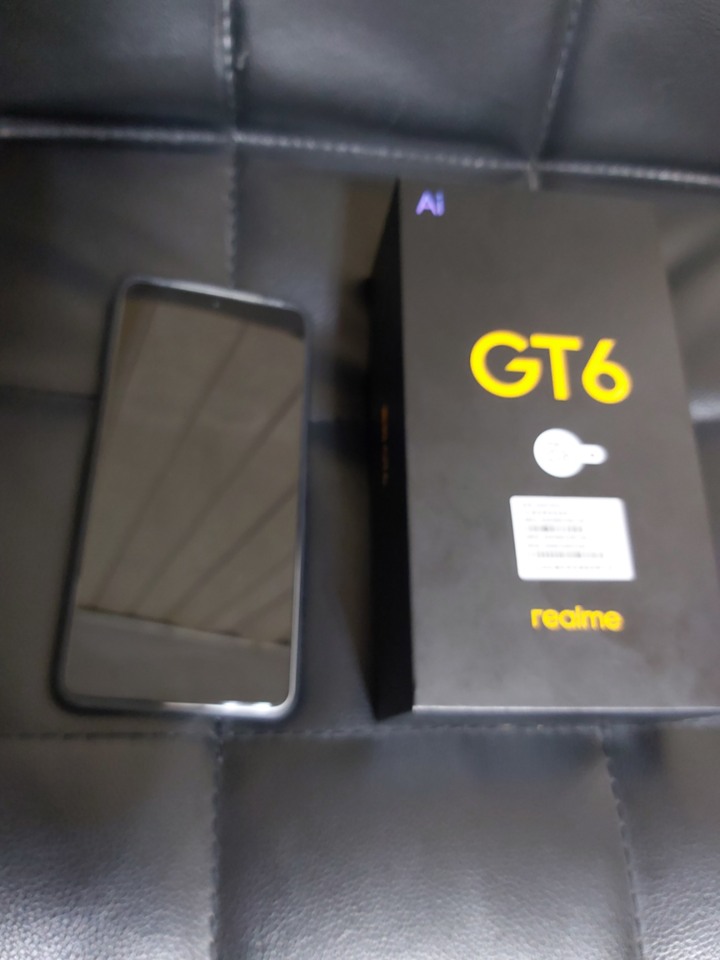 realme GT6 16/256