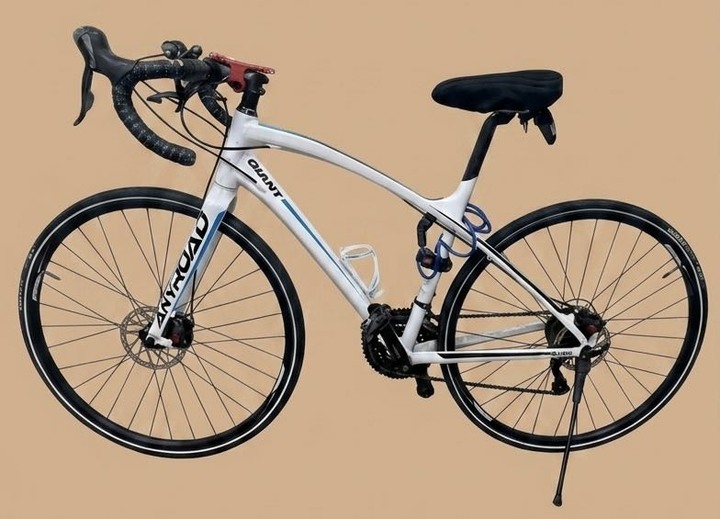 GIANT Anyroad 2 捷安特公路車