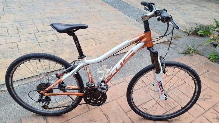 Dorcus 登山車 27速 車架14吋 輪徑26吋