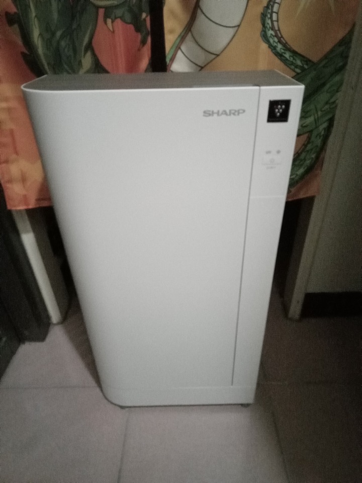 夏普DY-B01T-W 高科技鞋履賦活器 鞋子除臭/烘鞋機/殺菌
