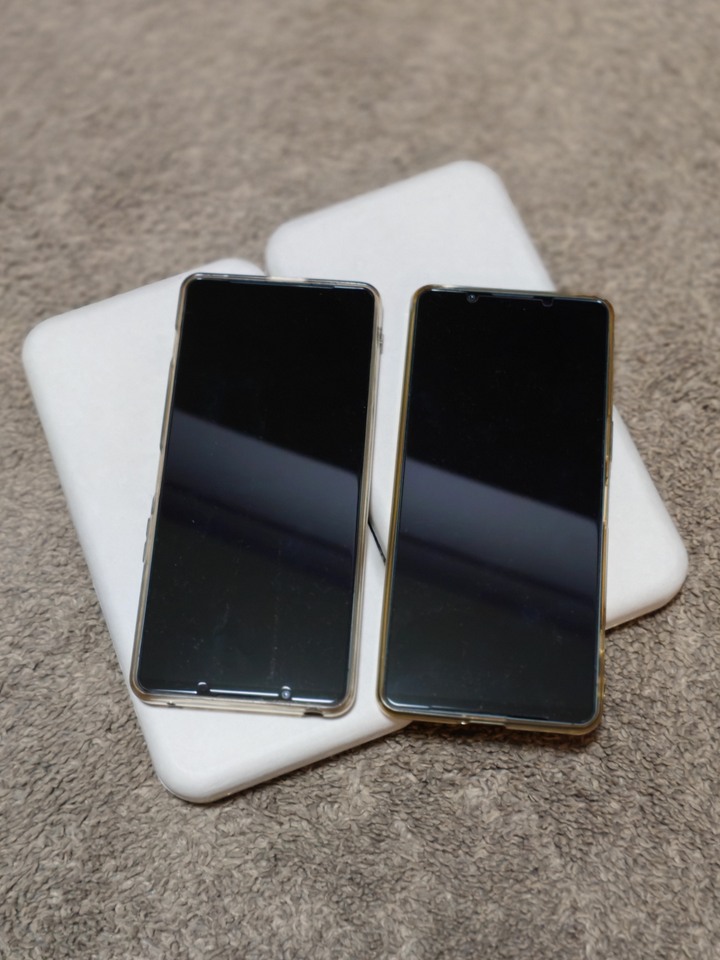 Sony Xperia 1 VI 墨綠色512G(一隻售18000 共有兩隻)