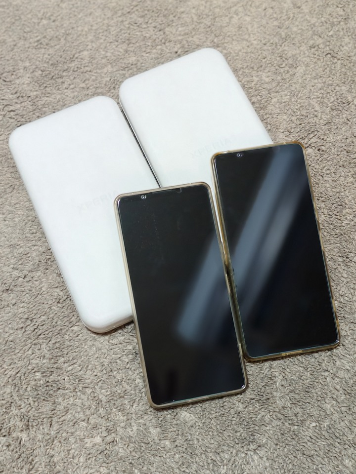 Sony Xperia 1 VI 墨綠色512G(一隻售18000 共有兩隻)