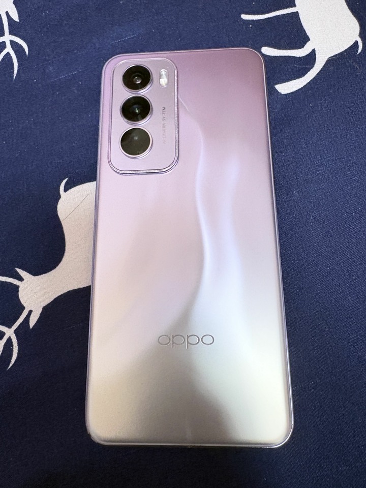 【極新無傷/全套配件】OPPO Reno12 Pro 5G (12G/512G) 星幻紫