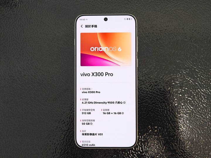 Vivo X300 Pro 16G/512G 白