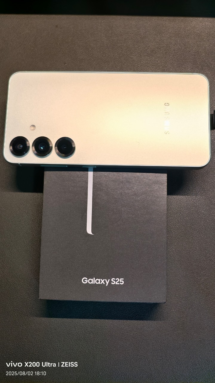 samsung s25 (12+256)迷綠
