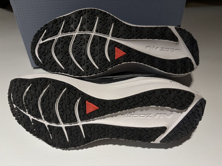 NIKE ZOOM WINFLO 8 SHIELD_US 10.5