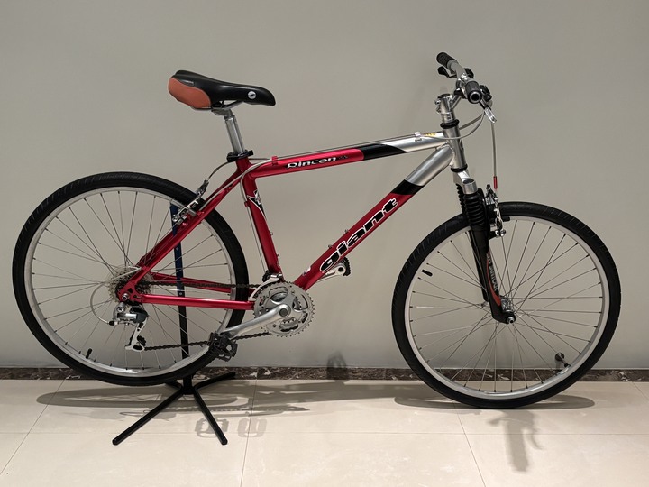 GIANT 捷安特 Rincon SE 21速