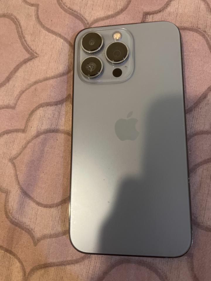 iPhone 13 Pro 零件機