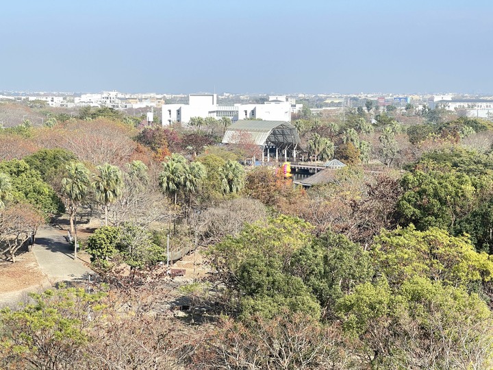 絕對的眼界萬坪公園第一排