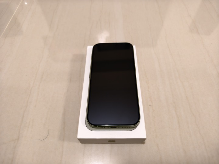 Apple iPhone 17 256G 鼠尾草綠 9.9成 保固到2027/02/20