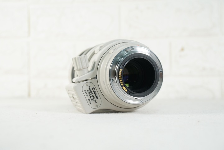 Canon EF 100-400mm f4.5-5.6L IS USM 遠攝變焦鏡頭