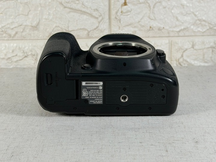 Canon EOS 5D Mark IV 5D4 單眼數位相機 公司貨 快門數113439