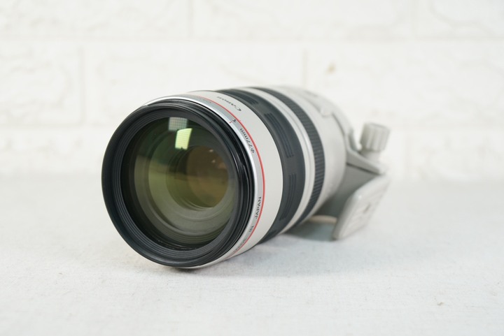 Canon EF 100-400mm f4.5-5.6L IS USM 遠攝變焦鏡頭