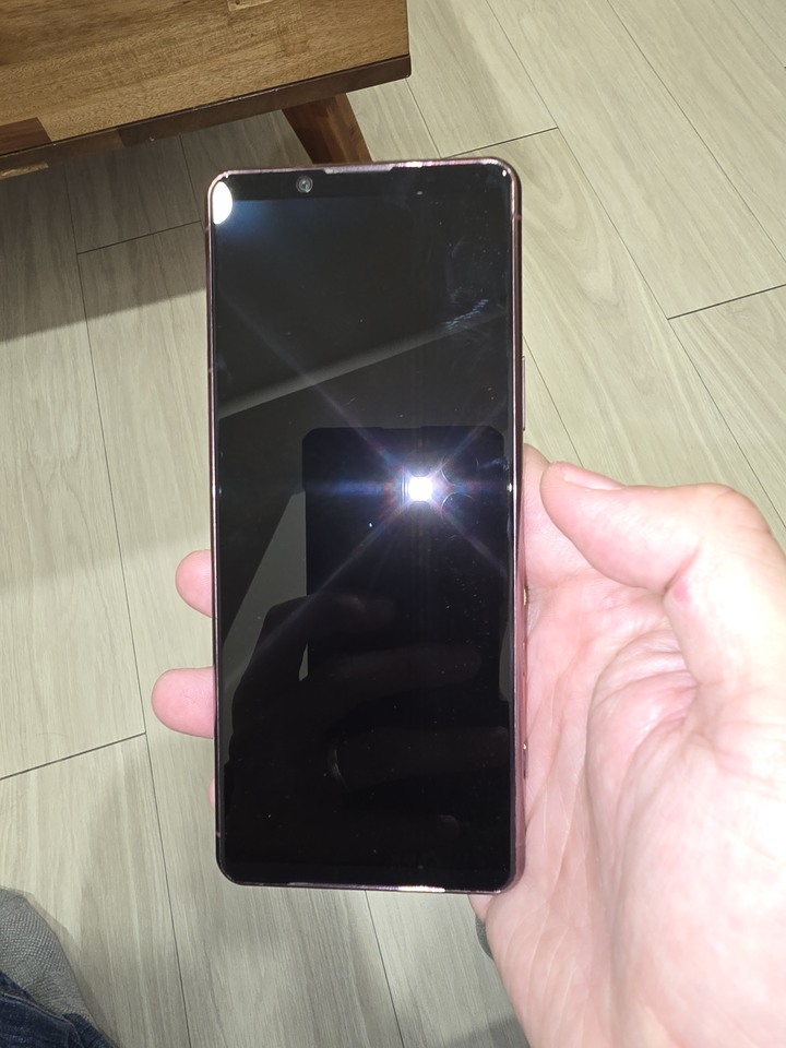 sony xperia 1 ii 8g/256gn 亮線