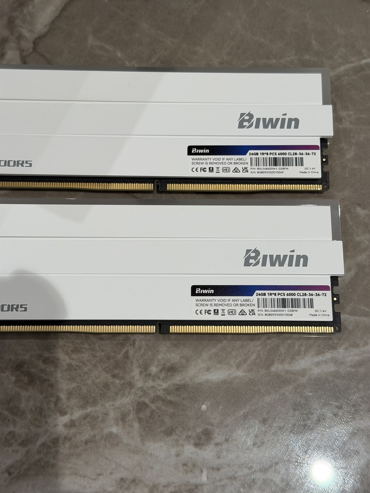 極新 隨便賣 BIWIN佰維 DW100 RGB DDR5-6000 【24GBx2】 記憶體 記憶卡 D5